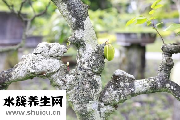 新陈代谢不好怎么办