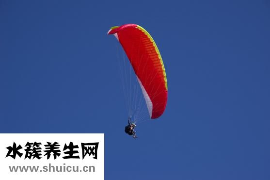泰尔减肥怎么样