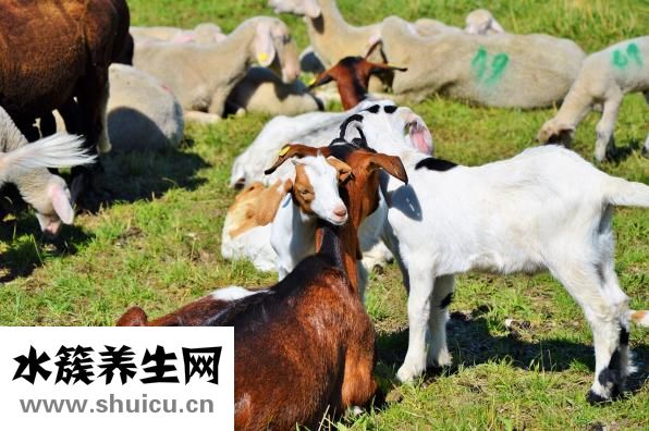 借贷宝怎么赚钱