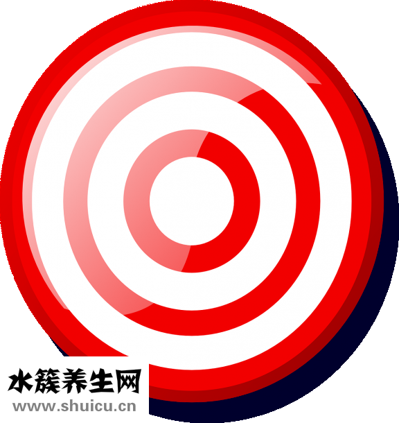 现在怎么办