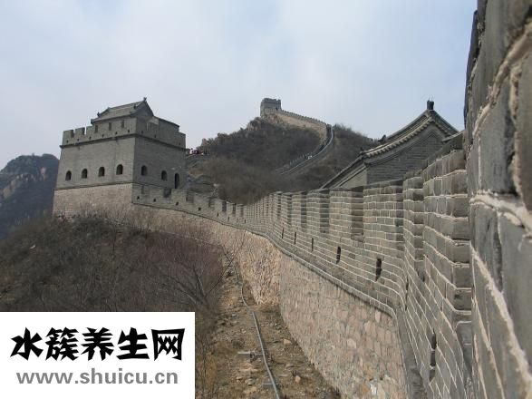 孕妈咪杂志怎么样