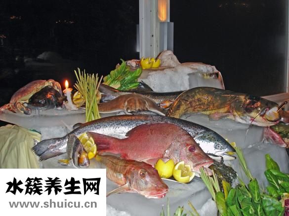 嚼味鱼霸怎么样