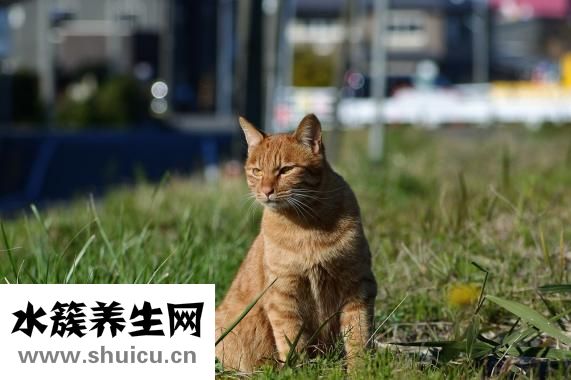 女孩什么时候来月经