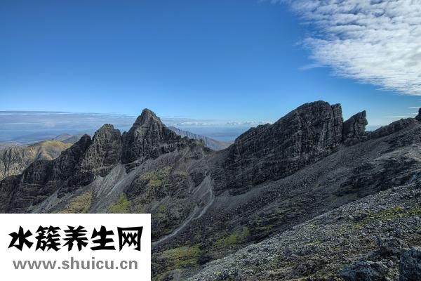 泰芝郎怎么样