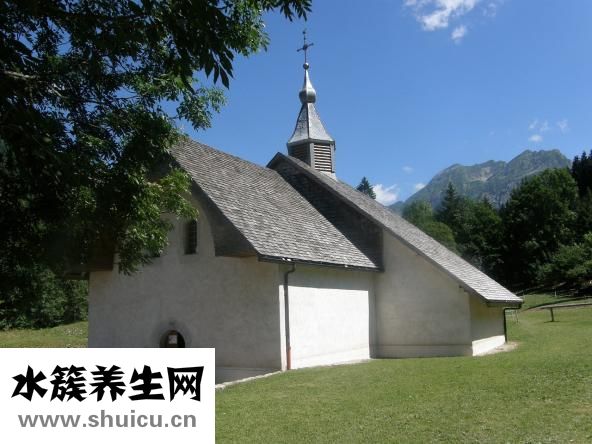 善贝勒怎么样
