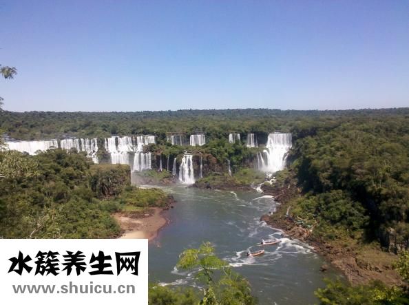 查验眼部有关疾病医生根据病人状况分辨查验目地