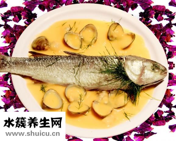 嚼味鱼霸怎么样