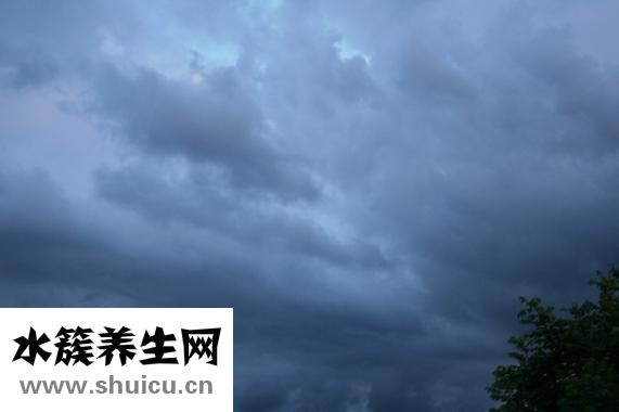 爱美莱塑身衣怎么样