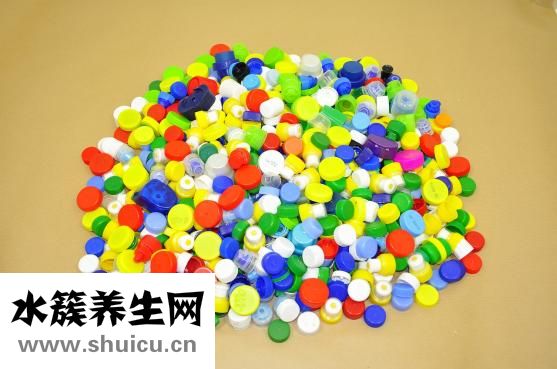 集金号怎么样