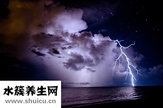 红烧鸡爪怎么做好吃