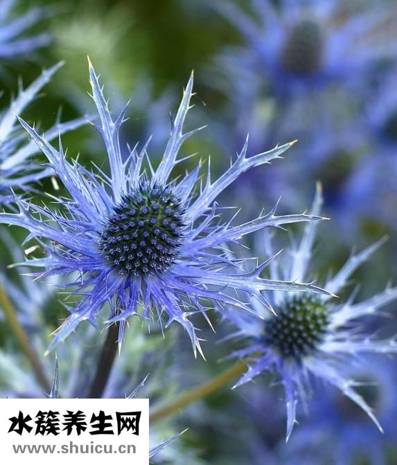 没有学位证怎么办