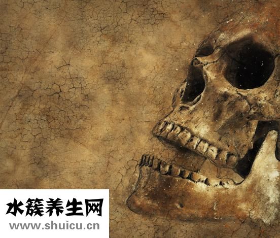 钙维康怎么样