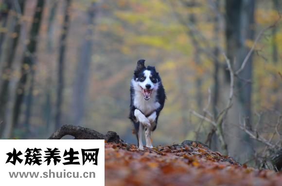 爱柔仕怎么样
