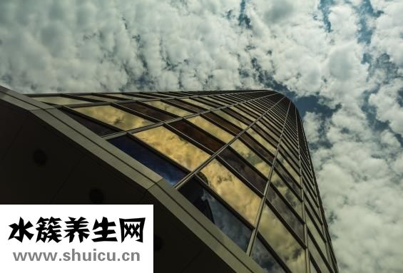 秦沛人品怎么样