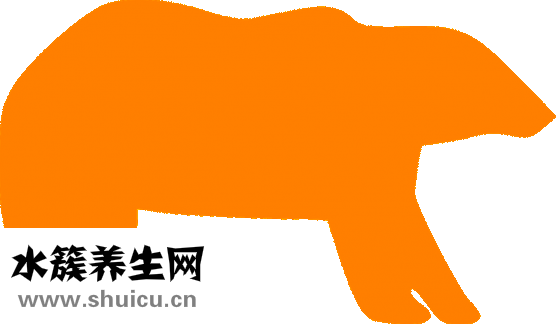怎么样才能戒掉烟