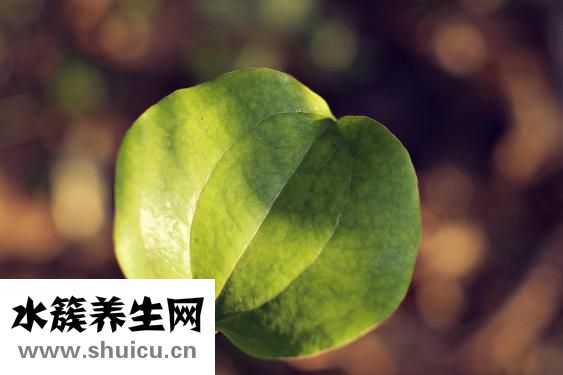 延时湿巾效果怎么样