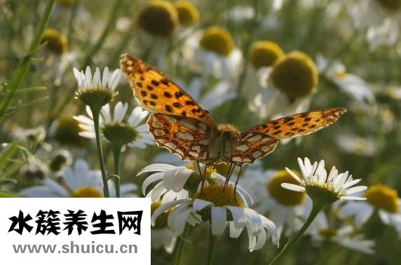 为什么总是我