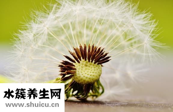借贷宝怎么赚钱