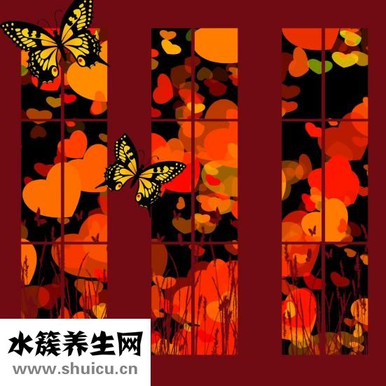 李医生怎么样
