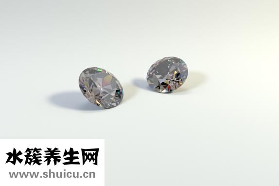 钻石小鸟怎么样