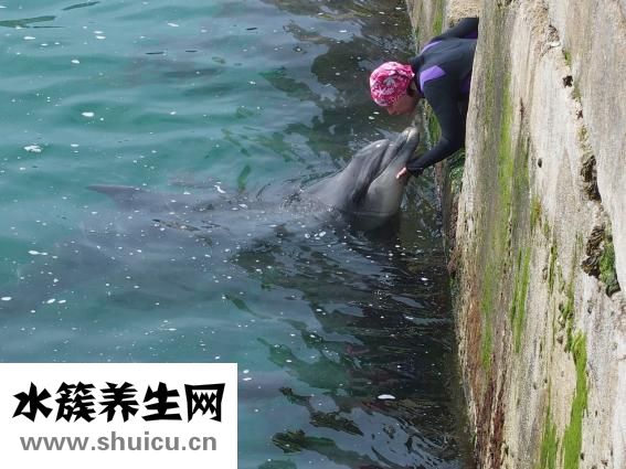 汤普集团怎么样