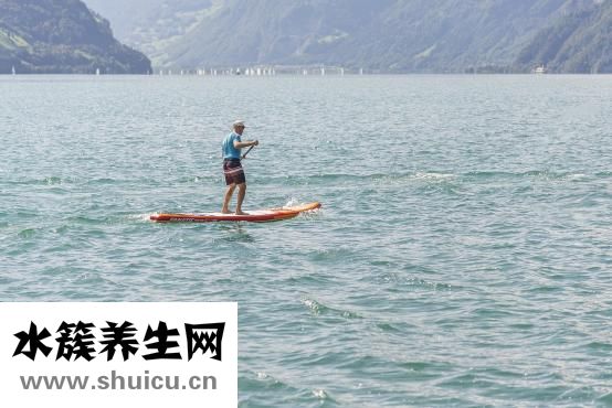 妙侣怎么样
