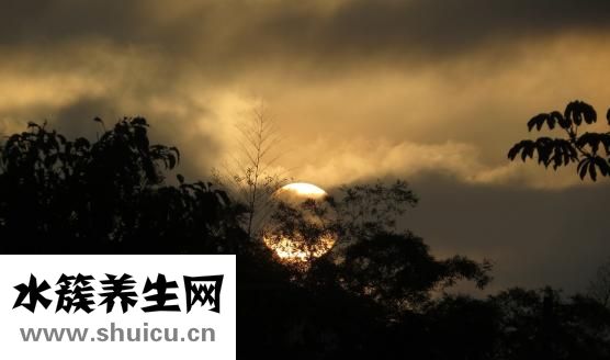泰式脸部按摩怎么样