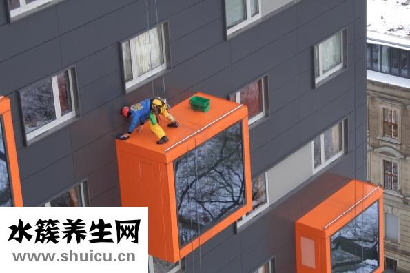 嚼味鱼霸怎么样
