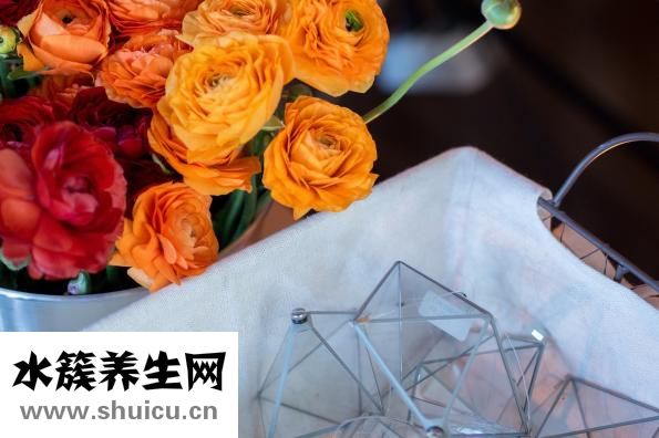 什么是中餐