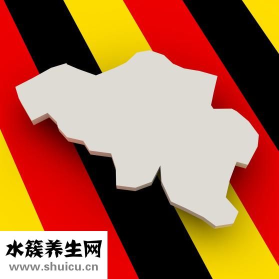 汤普集团怎么样