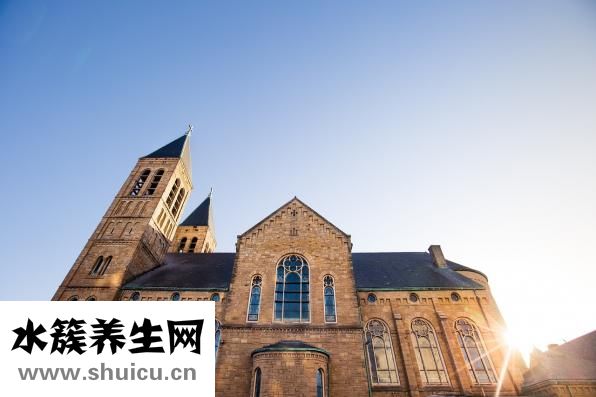 泰芝郎怎么样