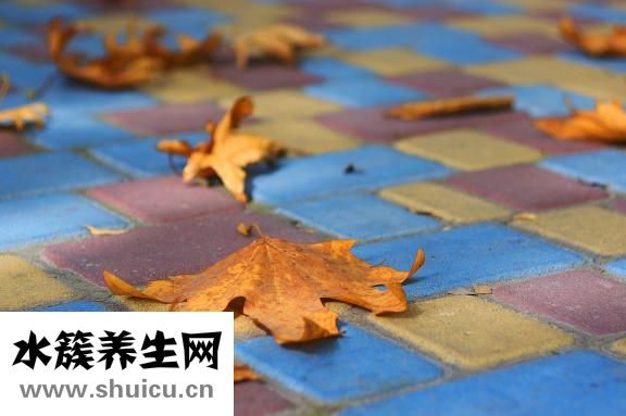 薯条怎么炸才脆