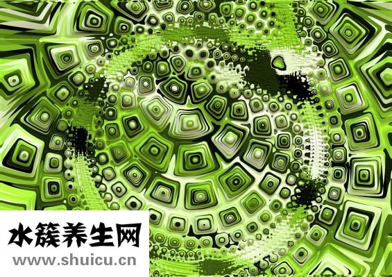魔法丰胸怎么样