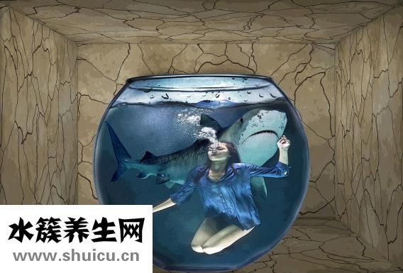什么是恐惧症