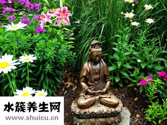 观音莲怎么繁殖