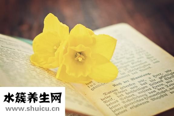 总是胡思乱想怎么办