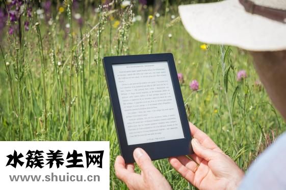 白芙泥怎么样