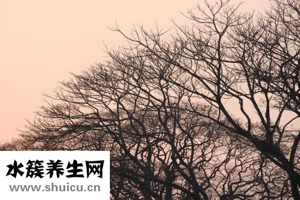 冬季皮肤瘙痒怎么办