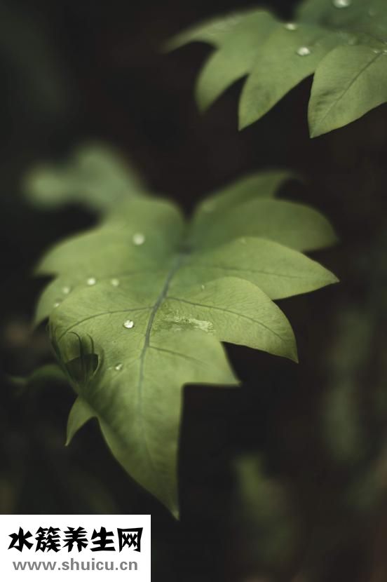 怎么样头发会好起来