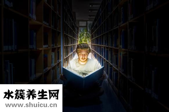 钻石小鸟怎么样