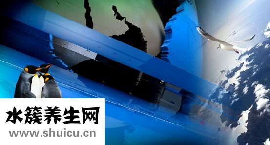 变性手术怎么做