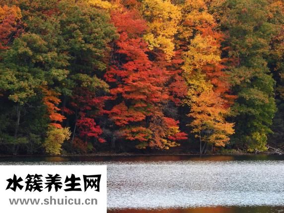 冬季皮肤瘙痒怎么办