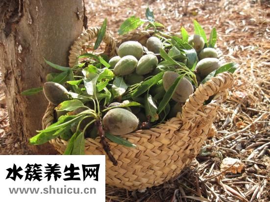 黄褐斑是怎么引起的