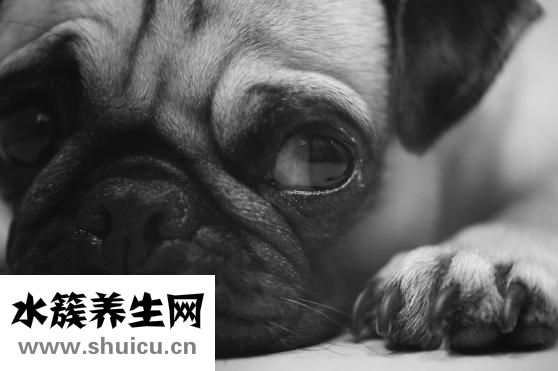 双面镜是什么