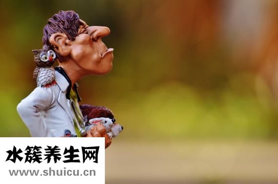 医流巴巴怎么样