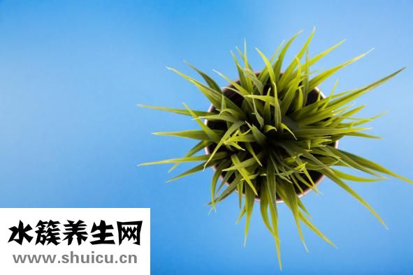 怎么样看指甲的人