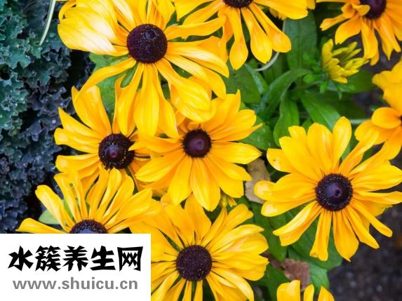 冻疮怎么办