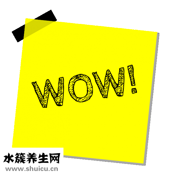 可婷打蜡膏怎么样