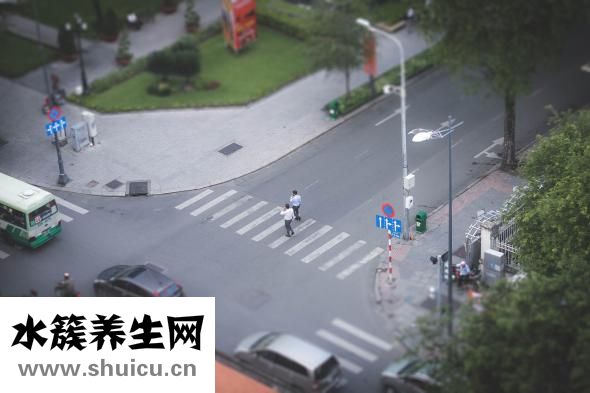 娃丽比怎么样