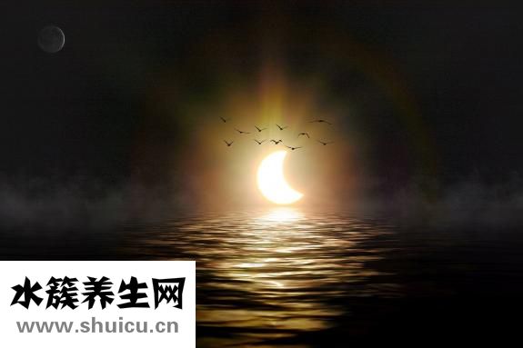 浮屠是什么